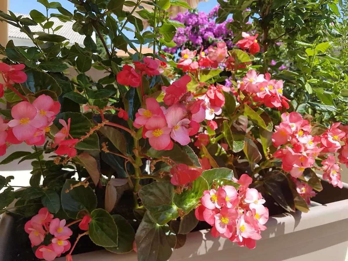 Apartment Apartman Studio Lu Nerezine Croatia