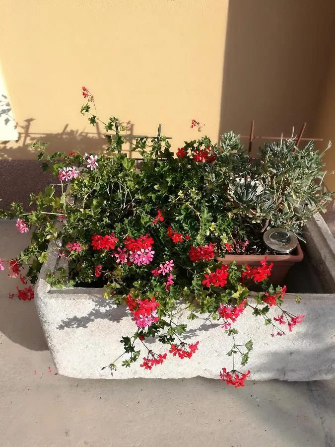 Apartman Studio Lu Nerezine Apartment