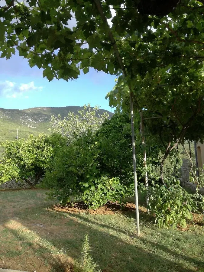 Apartman Studio Lu Nerezine 0*,  Chorwacja